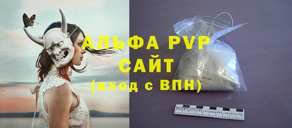 ECSTASY Белокуриха