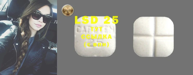 ECSTASY Белокуриха