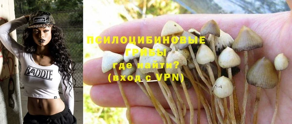 молекула духа Беломорск