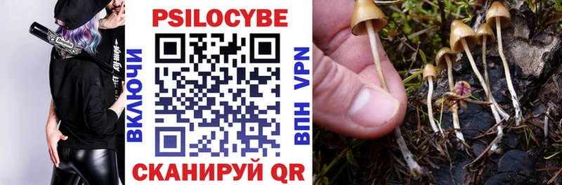 Галлюциногенные грибы MAGIC MUSHROOMS  Волосово 